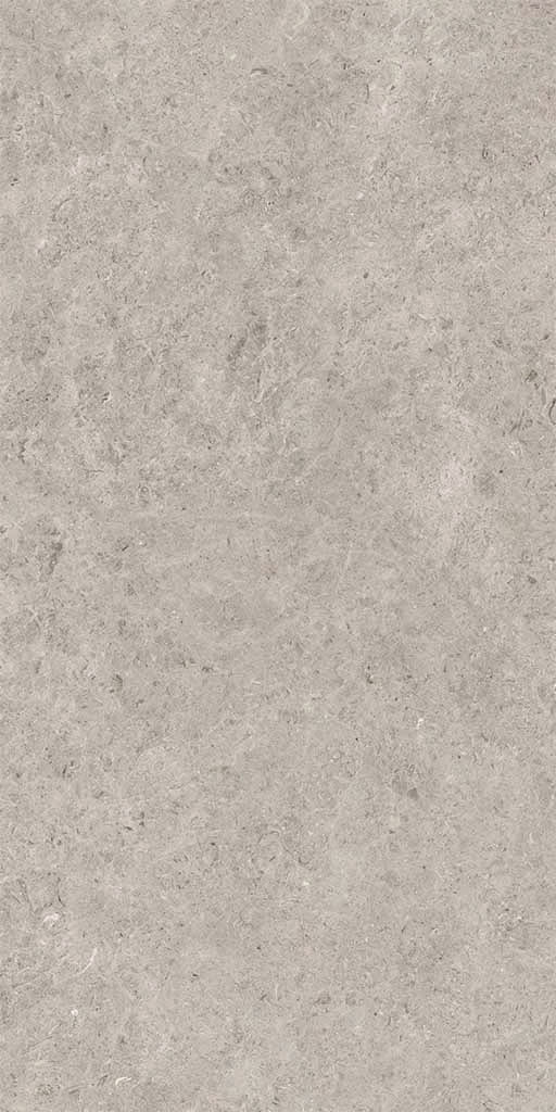 Seashell Natural R10 Carving 60*120