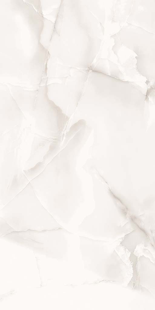 Mist Taupe Carving 60*120