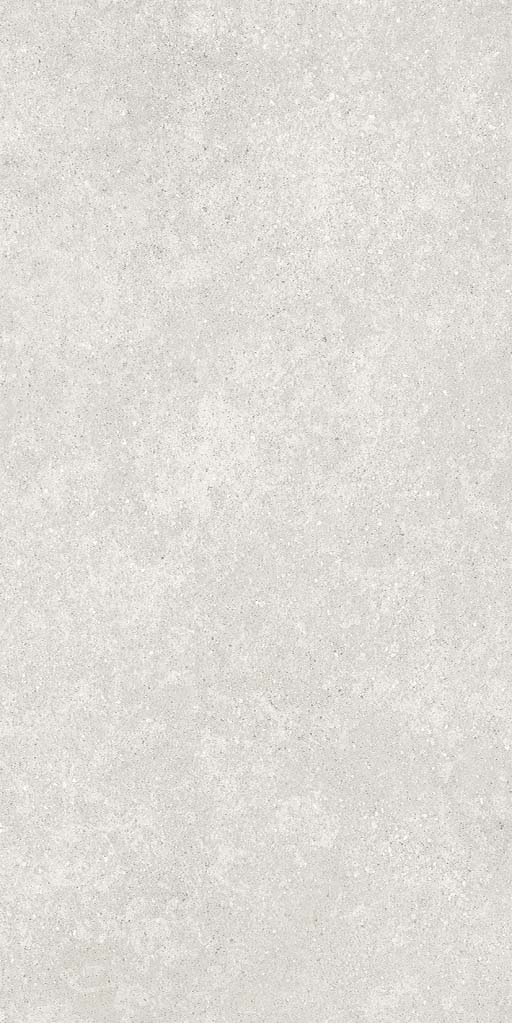 Concretica R10 Carving 60*120